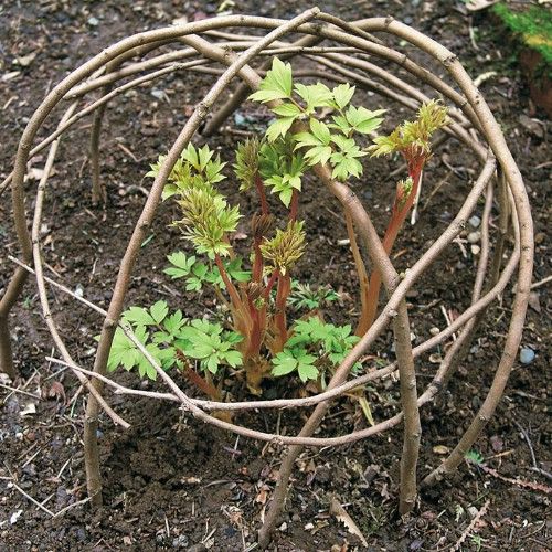 25 billig und einfach DIY Haus und Garten-Projekte mit Sticks und Zweige - Diy D...