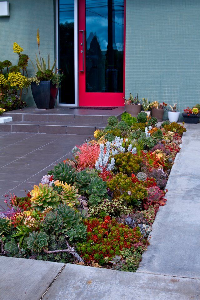 1240 best Endless Succulent Ideas images on Pinterest | Succulents ... - how to design a succulent garden 1240 best Endless Succulent Ideas images on Pinterest | Succulents ... - how to design a succulent garden