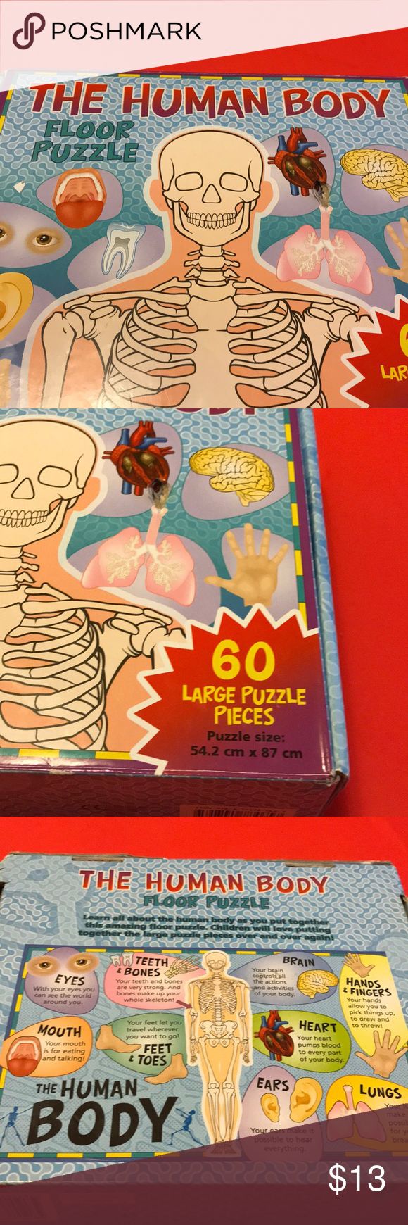 The human body floor puzzle | Large puzzle pieces, Puzzle pieces, Human