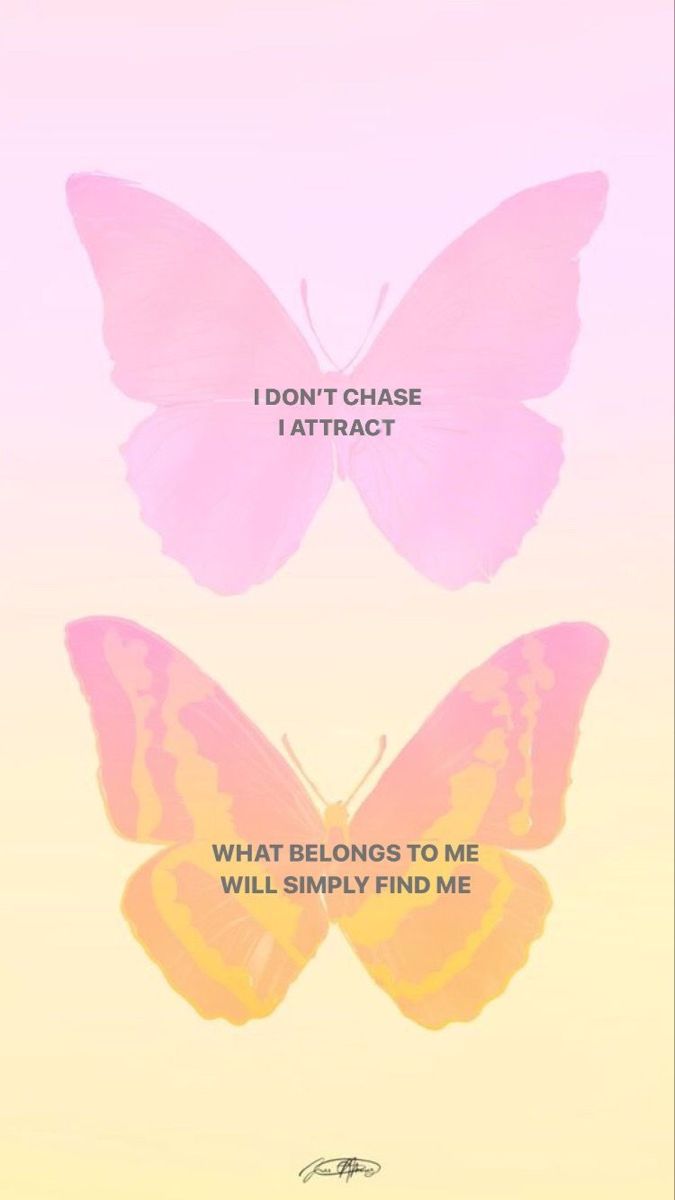 Two Butterflies With The Words I Don t Chase I Attract And What two-butterflies-with-the-words-i-don-t-chase-i-attract-and-what