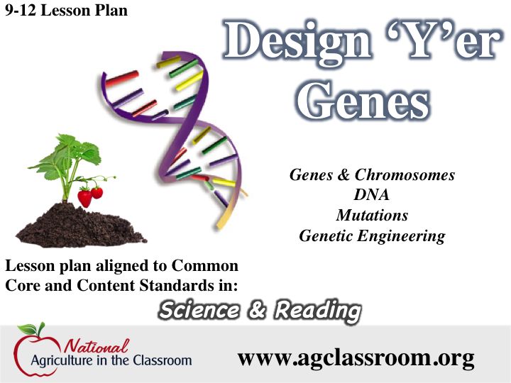 164 best biotechnology images on Pinterest School, Anatomy and - best of dna blueprint of life worksheet 164 best biotechnology images on Pinterest School, Anatomy and - best of dna blueprint of life worksheet