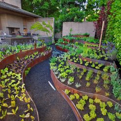 Vegetable Garden Ideas Designs Raised Gardens 18 best contemporary raised vegetable gardens images on pinterest Vegetable Garden Ideas Designs Raised Gardens 18 best contemporary raised vegetable gardens images on pinterest