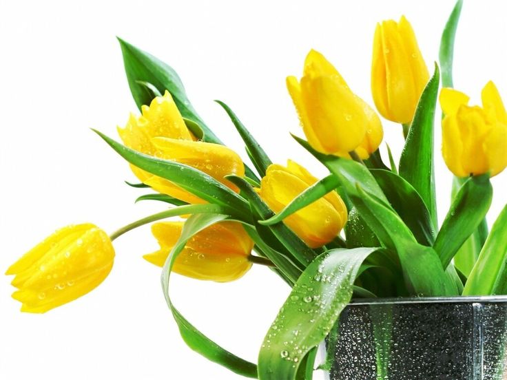 download free flowers