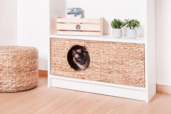 Katzenkorb für Kallax und Billy Regal von Ikea | Billy regal Katzenkorb für Kallax und Billy Regal von Ikea | Ikea kallax