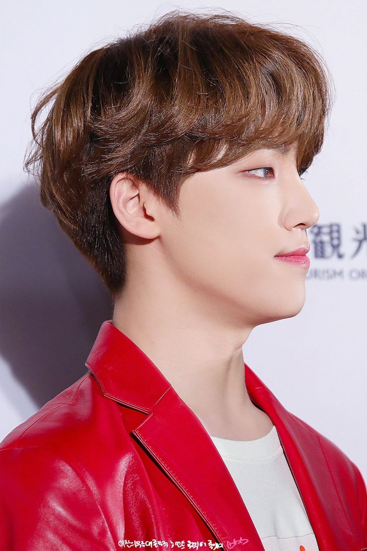 lee chan svt lee chan svt
