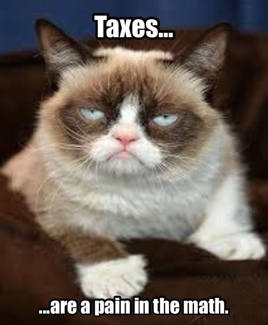 625 best grumpy cat images on pinterest grumpy cat, grumpy kitty e039cb69e19c2fcefb3246f482c1bd4c grumpy cat meme grumpy kitty 625 best grumpy cat images on pinterest grumpy cat, grumpy kitty