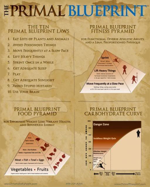 9 best primal blueprint images on Pinterest Food, Cooking recipes - fresh primal blueprint omega 3 9 best primal blueprint images on Pinterest Food, Cooking recipes - fresh primal blueprint omega 3