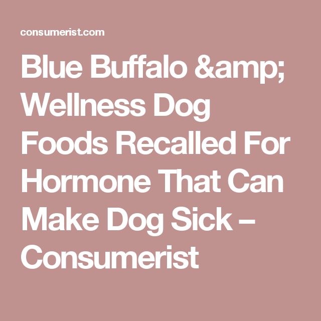 Can Apples Make Dogs Sick Can Apples Make Dogs Sick
