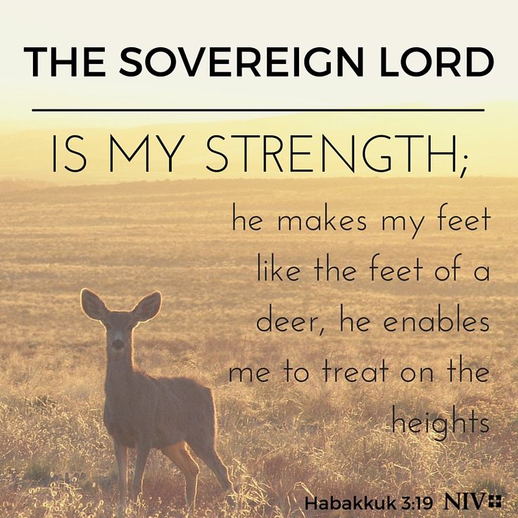 the sovereign lord is my strength courage pinterest the sovereign lord is my strength courage pinterest