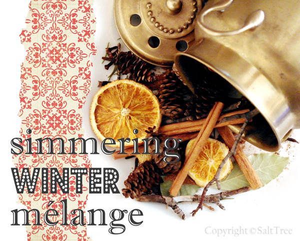 diy home made simmering potpourri gift free label the smell of christmas potpourri
