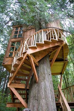 Circular Tree House 42 best treehouse images on pinterest | treehouses, architecture Circular Tree House 42 best treehouse images on pinterest | treehouses, architecture
