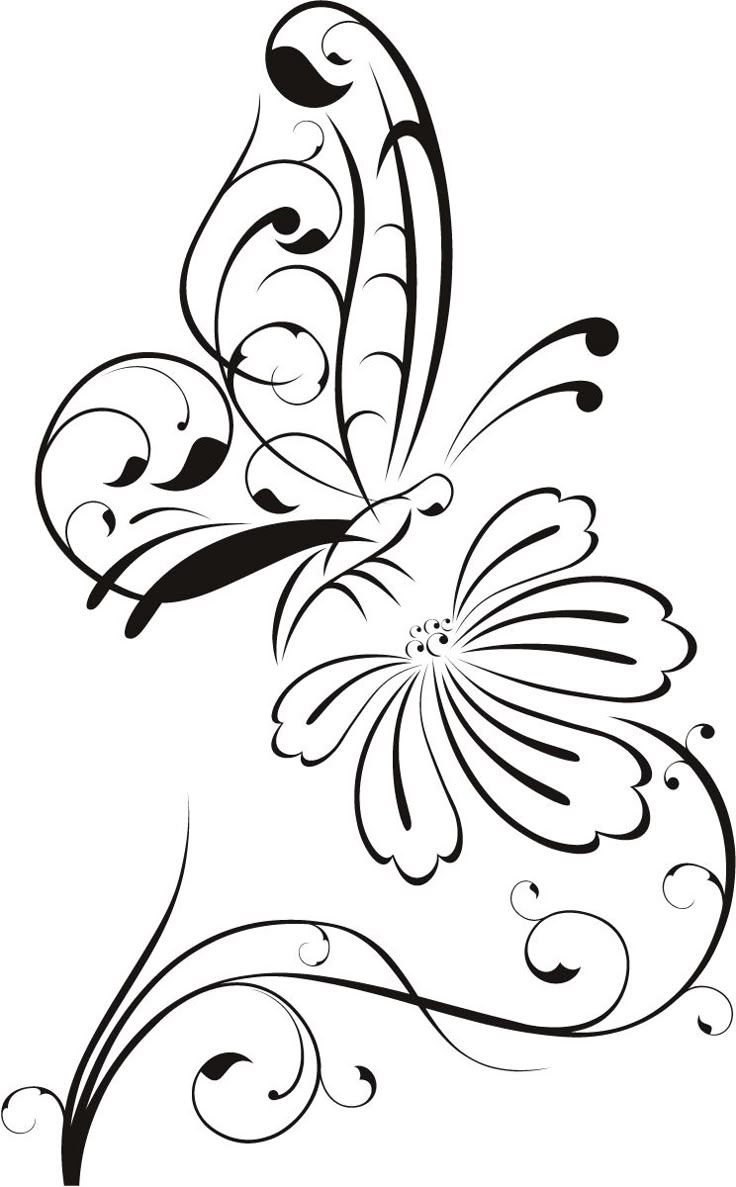 Out Line Art Design : Best flower outline ideas on pinterest design