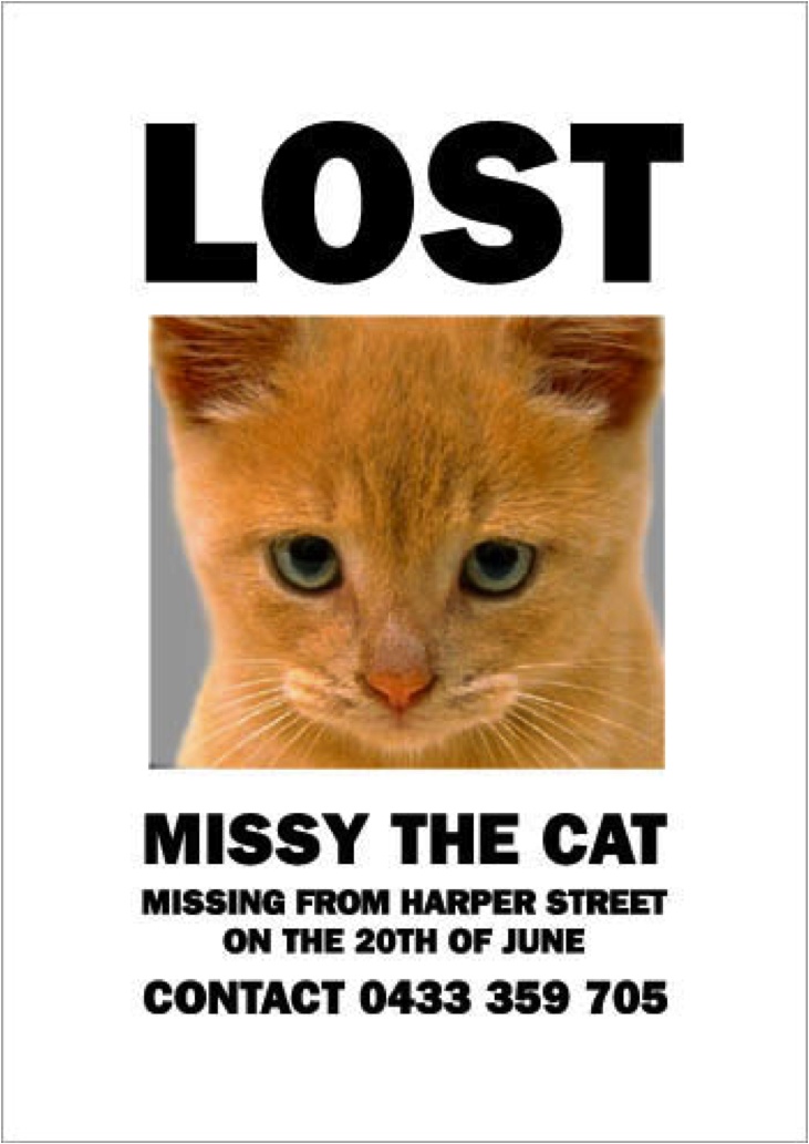 The 17 best Lost Cat - What do our pets do when they\u0027re not with us
