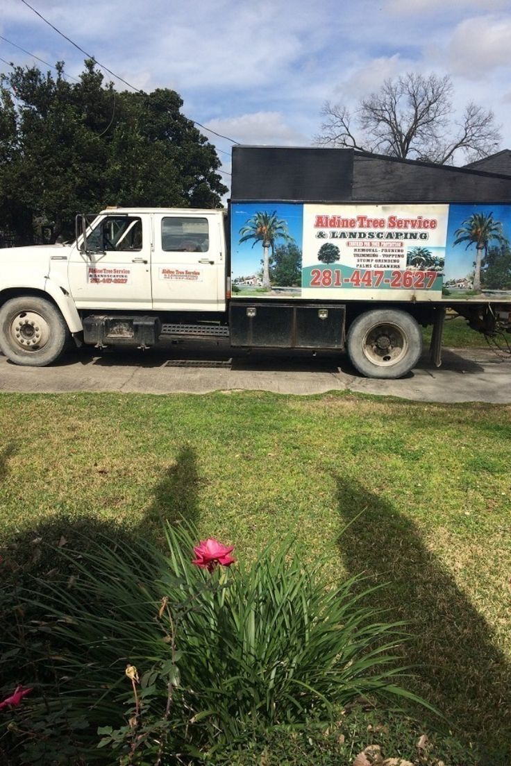 14 best free houston tree stump grinding tips ideas free houston tree service tree tree stump grinding near me on 14 best free houston tree stump grinding tips ideas free houston tree service tree houston tree stump grinding tips