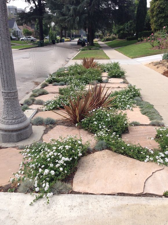 examples of how homeowners are replacing grass parkways with more drought tolerant landscaping and trying to - Garden Ideas To Replace Grass examples of how homeowners are replacing grass parkways with more drought tolerant landscaping and trying to - Garden Ideas To Replace Grass