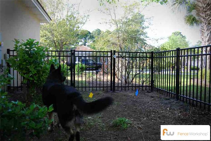 Best fence containment options for dogs
