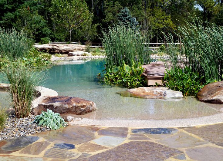 Bionova Natural Pools Reviews Bionova Natural Pools Reviews