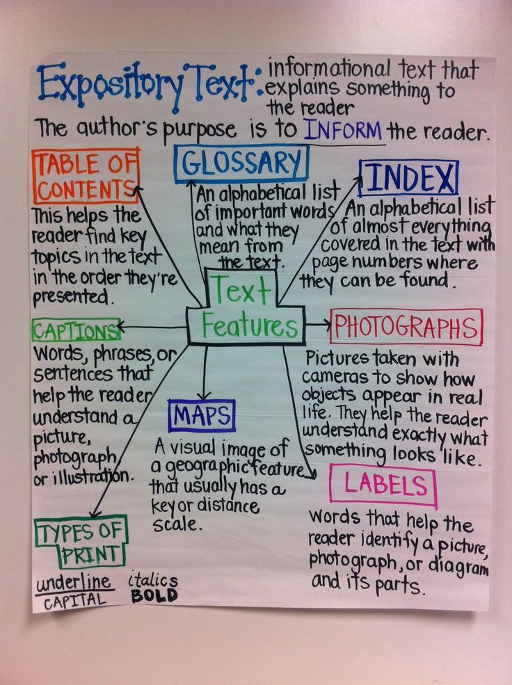 Expository essay about education