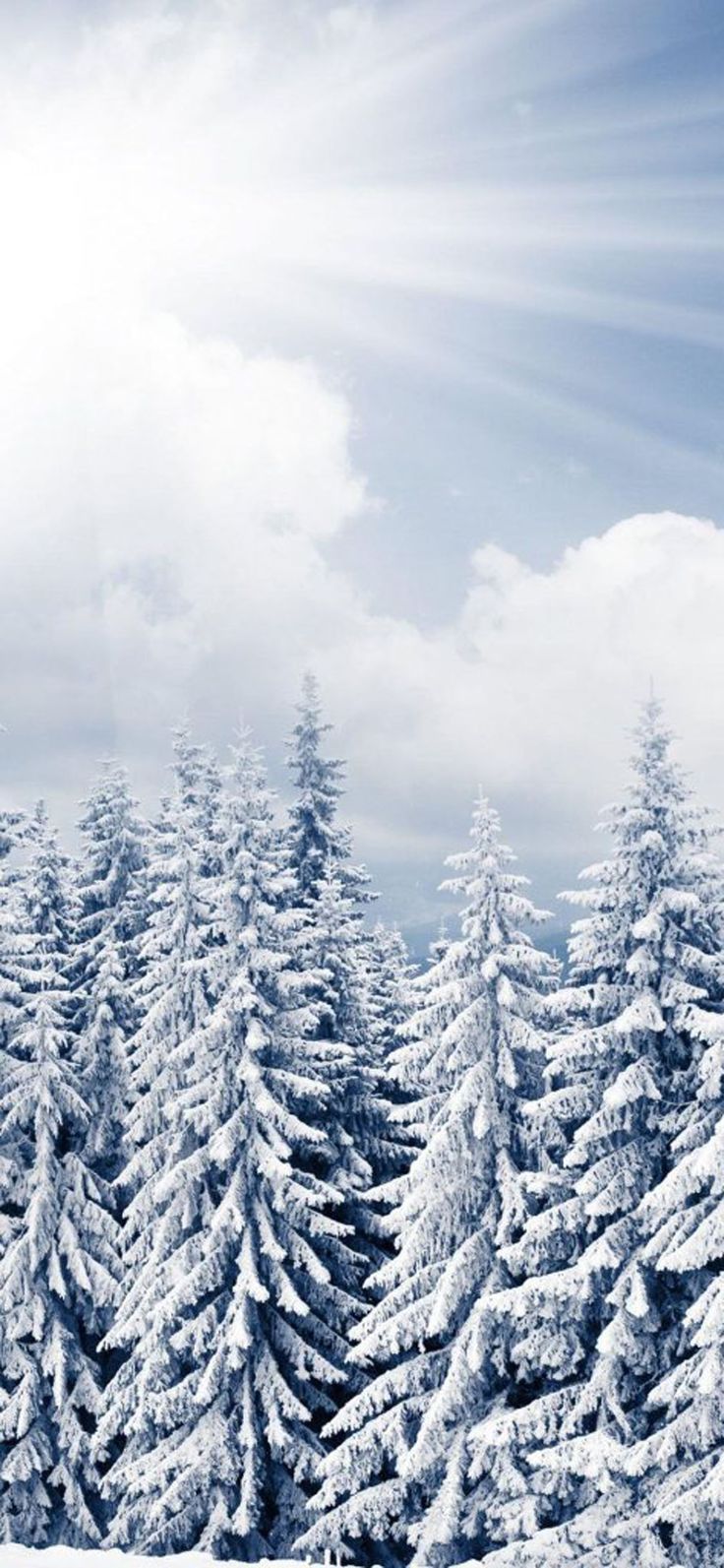 IPhone X Beautiful Wallpaper, 1125×2436 Christmas Background (Part 2) iPhone X Wallpaper 756112224918955520 8 IPhone X Beautiful Wallpaper, 1125×2436 Christmas Background (Part 2) iPhone X Wallpaper 756112224918955520 8
