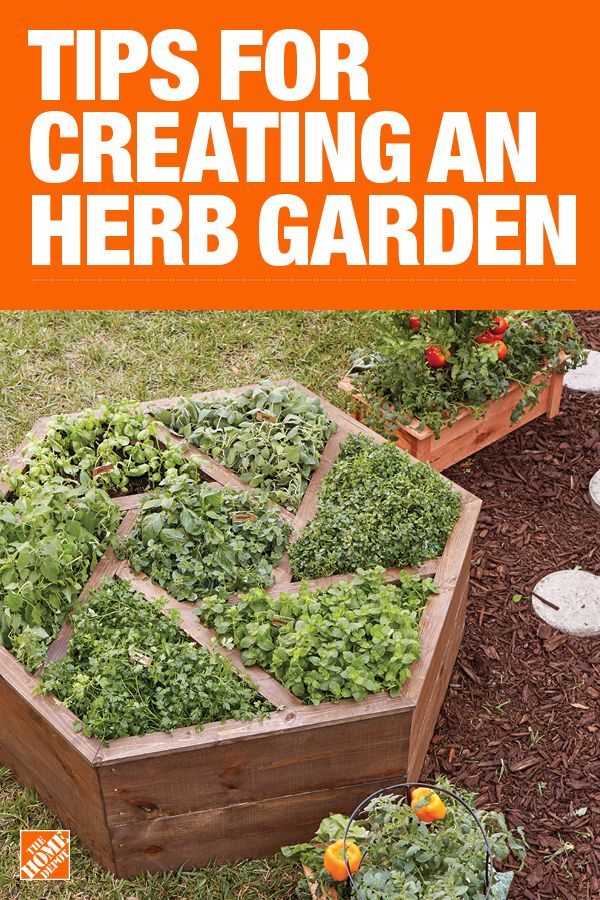 Planning And Preparing A Garden With Ashley Of Heirloomed With