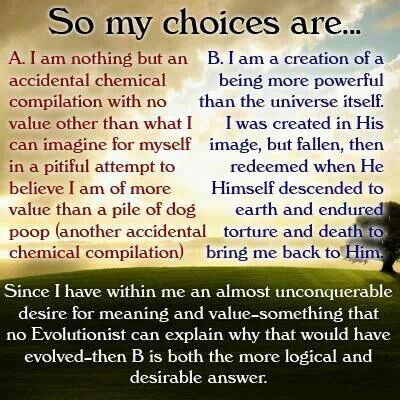 evolution essays creation evolution journal