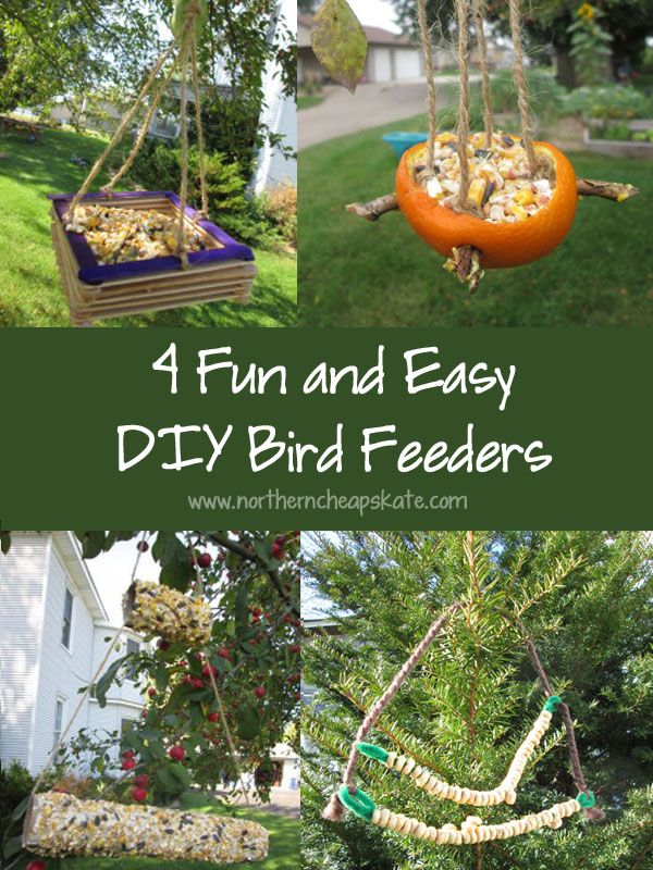 Fun Bird Feeder Crafts Fun Bird Feeder Crafts