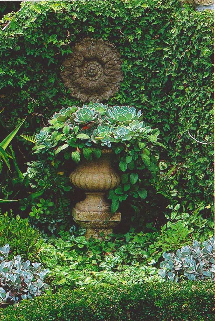 Decorative Urns For Plants Awesome Best 25 Garden Urns Ideas On Pinterest Small Garden Urns Inspiration Design Decorative Urns For Plants Beauteous Best 25 Garden Urns Ideas On Pinterest Small Garden Urns Review