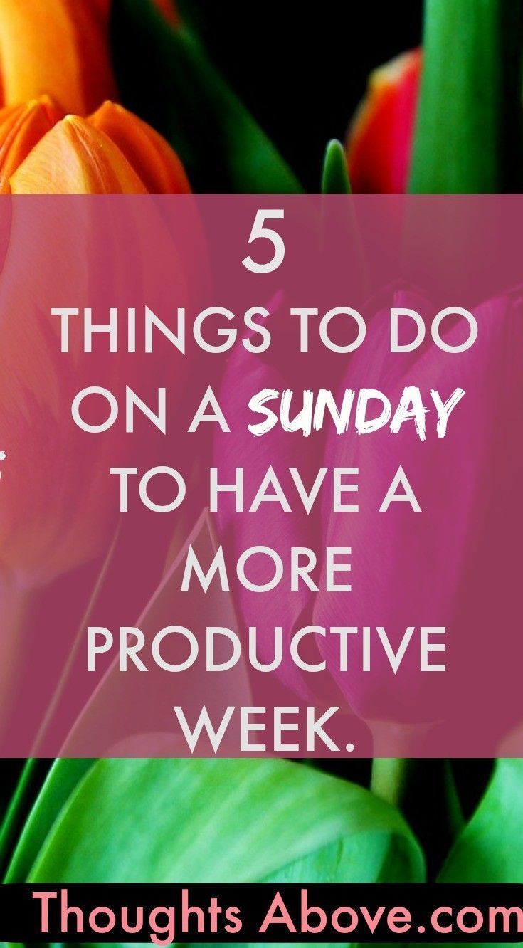 how to have a productive time #5: increase productivity with prime time organize your life so that you are doing creative work during your internal ‘‘prime time’’ your internal prime time is the time of day, according to your body clock, when you are the most alert and productive for most people, this is in the morning for some people, however, it is in the evening. how to have a productive time #5: increase productivity with prime time organize your life so that you are doing creative work during your internal ‘‘prime time’’ your internal prime time is the time of day, according to your body clock, when you are the most alert and productive for most people, this is in the morning for some people, however, it is in the evening.