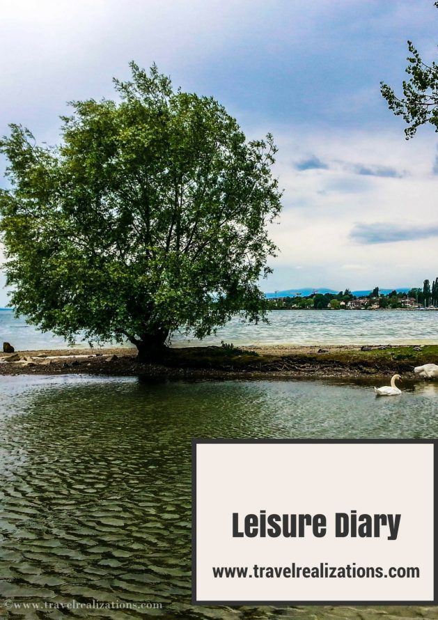 My leisure diary My leisure diary