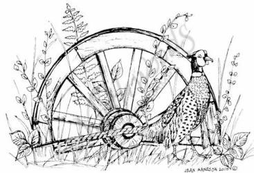 Download Northwoods Rubber Stamp Pheasant & Wagon Wheel | Pattern coloring pages, Colorful oil painting ...