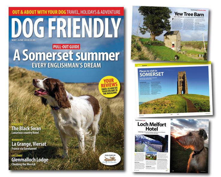 Bed And Breakfast In Weymouth That Take Dogs Bed And Breakfast In Weymouth That Take Dogs