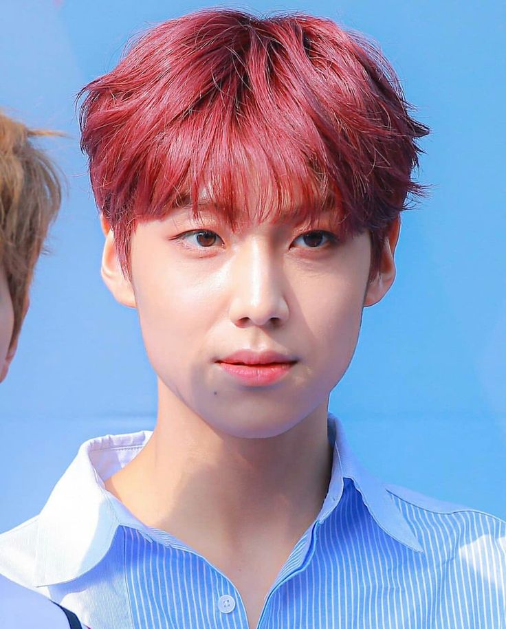 lee eunsang nh t ng cho n tho i lee eunsang nh t ng cho n tho i