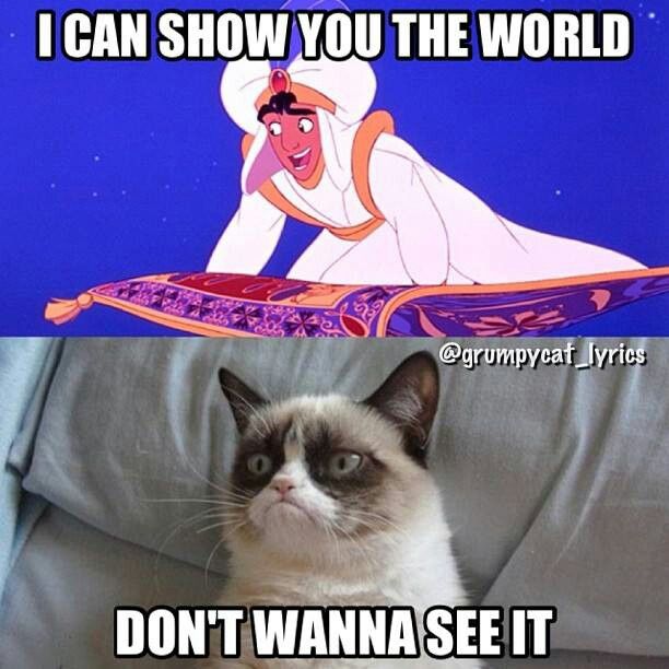 Grumpy Cat Disney Meme Grumpy Cat Disney Meme