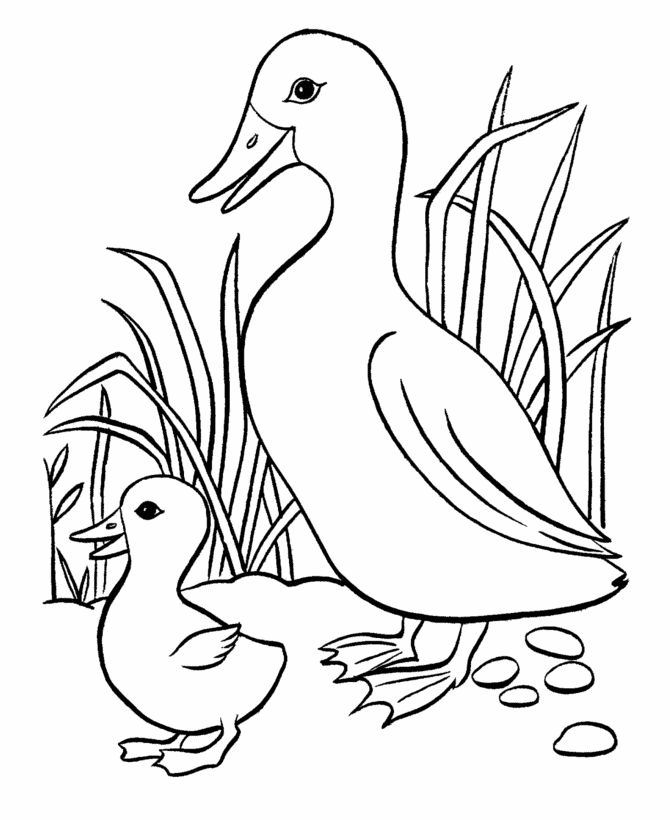2939 best OMALOVÁNKY A ŠABLONY images on Pinterest Appliques - fresh coloring pages with multiple animals 2939 best OMALOVÁNKY A ŠABLONY images on Pinterest Appliques - fresh coloring pages with multiple animals