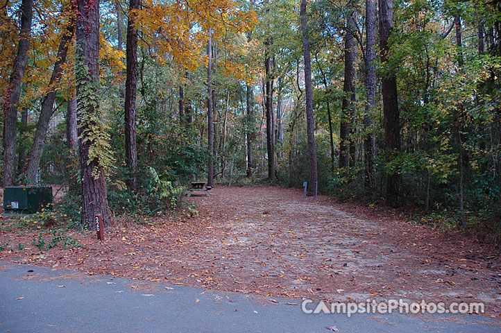 Myrtle Beach State Park Campsite Photos, Camping Info