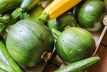 Why a Zucchini Flowers But Does Not Produce | Home Guides | SF Gate