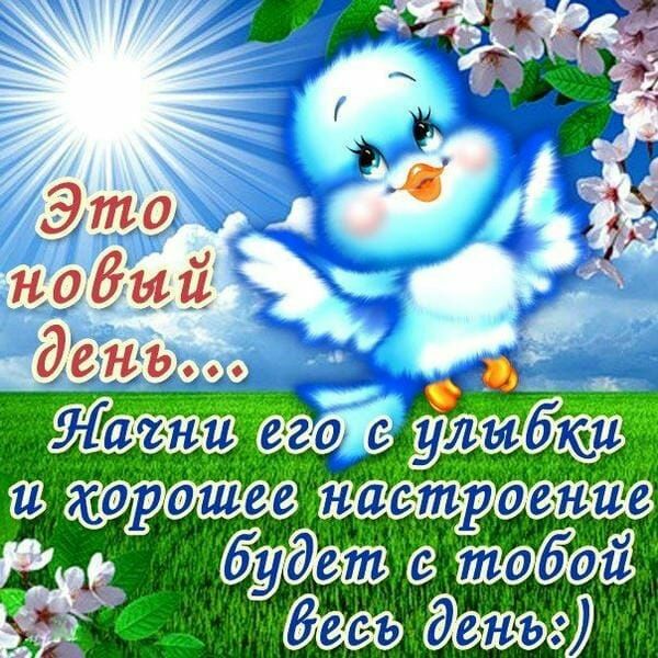 Добрые пожелания на день открытка