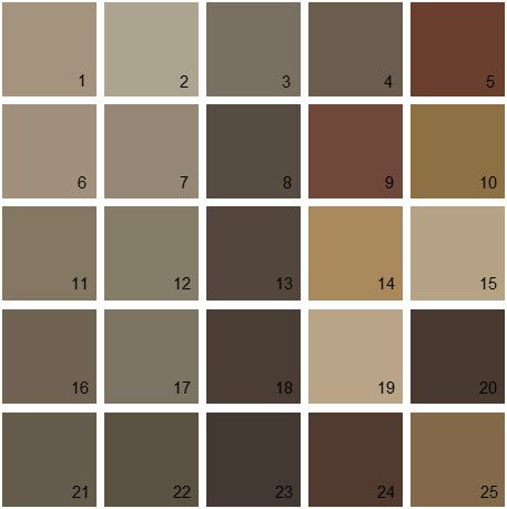 Best 25  Benjamin moore brown ideas on Pinterest | Brown dining ...