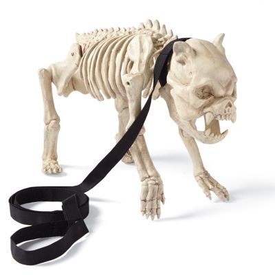 grandin road skeleton dog on leash halloween decorations and decor