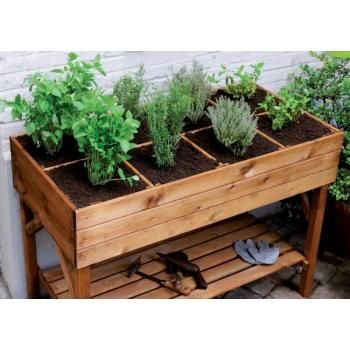 Herb Planters best 20+ herb planters ideas on pinterest | growing herbs indoors Herb Planters best 20+ herb planters ideas on pinterest | growing herbs indoors