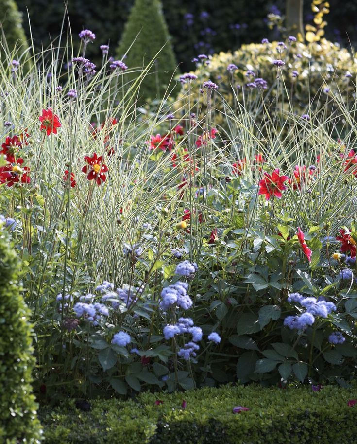 728 Best Garten Images On Pinterest Gartenideen Cottage Garten Staudenbeet Dahlien Pflegeleicht