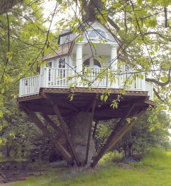 best 25+ kid tree houses ideas only on pinterest | diy tree house best 25+ kid tree houses ideas only on pinterest | diy tree house