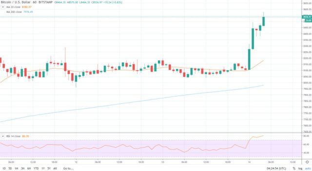 Did Bitcoin Price Rally To 8600 Because Of Bitmex Liquidations Bitcoin Price Bitcoin Rally