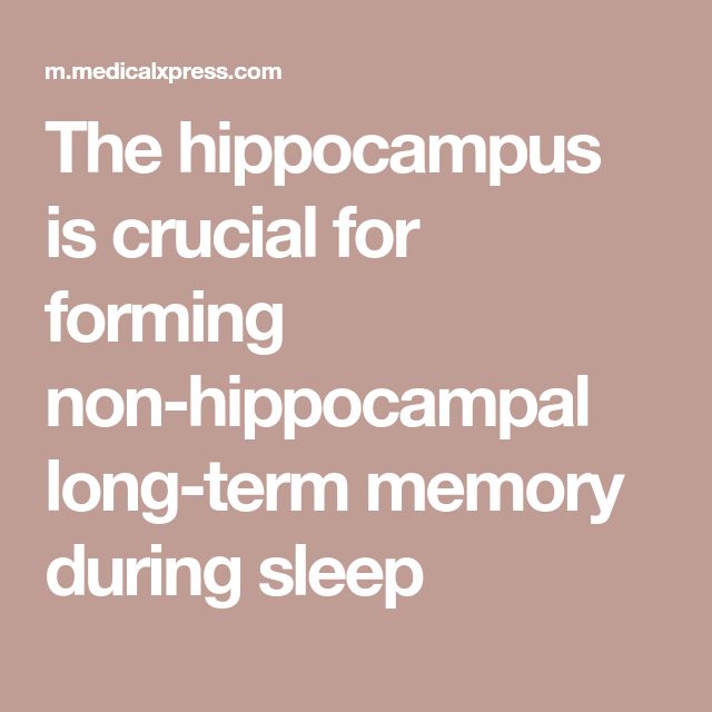 The hippocampus is crucial for forming nonhippocampal longterm memory