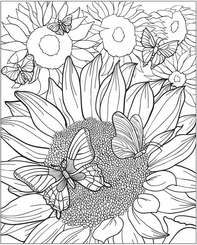 333 best Kids Club Mar-Apr-May images on Pinterest Coloring books - copy coloring pages flowers and butterflies 333 best Kids Club Mar-Apr-May images on Pinterest Coloring books - copy coloring pages flowers and butterflies