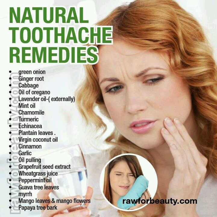 Natural Remedies For Dog Tooth Decay Natural Remedies For Dog Tooth Decay