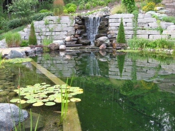 naturpool design Schwimmteich mini wasserfall seerosen Teich - kunstfelsen selber machen naturpool design Schwimmteich mini wasserfall seerosen Teich - kunstfelsen selber machen