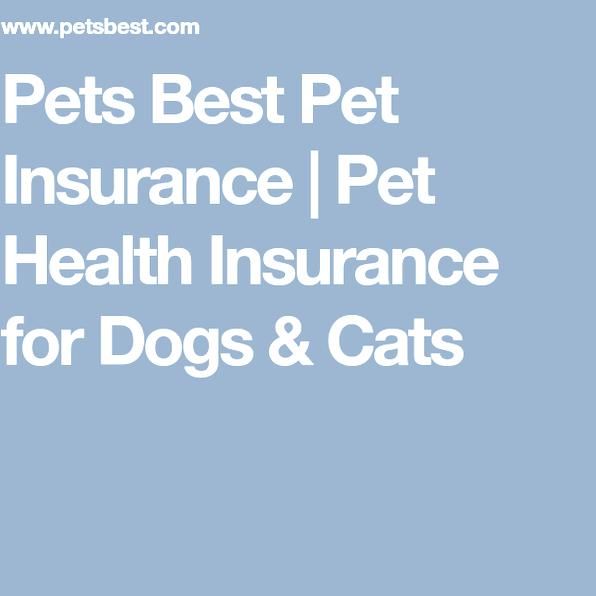 Pets Best Pet Insurance Pet Health Insurance For Dogs Cats In 2020 Pet Insurance Cost Pet Insurance Dog Insurance