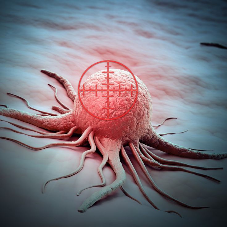 John hopkins breast cancer report