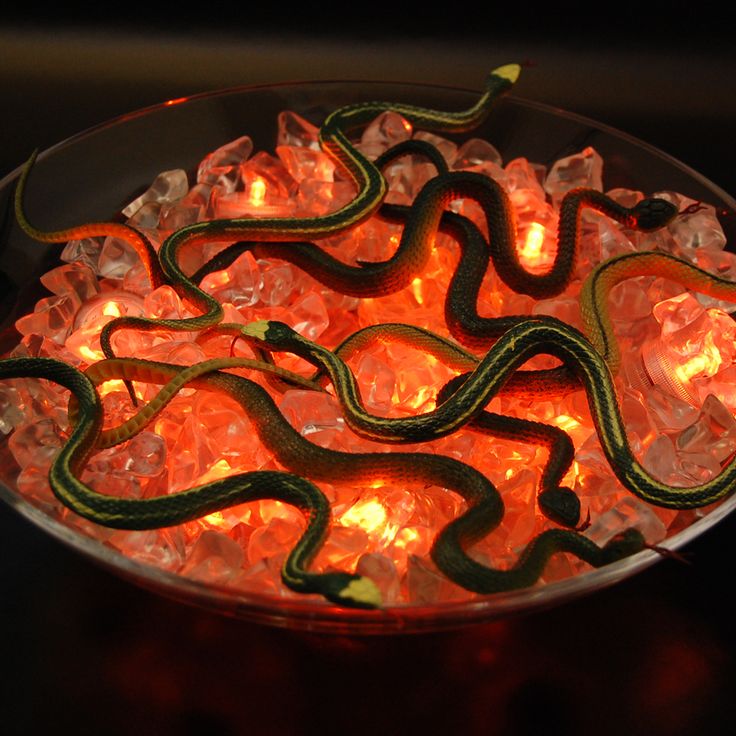 scare your guests with this easy to make bucket of snakes orange submersible lights with - Halloween Lights scare your guests with this easy to make bucket of snakes orange submersible lights with - Halloween Lights